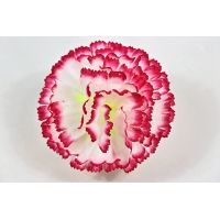 104/20      